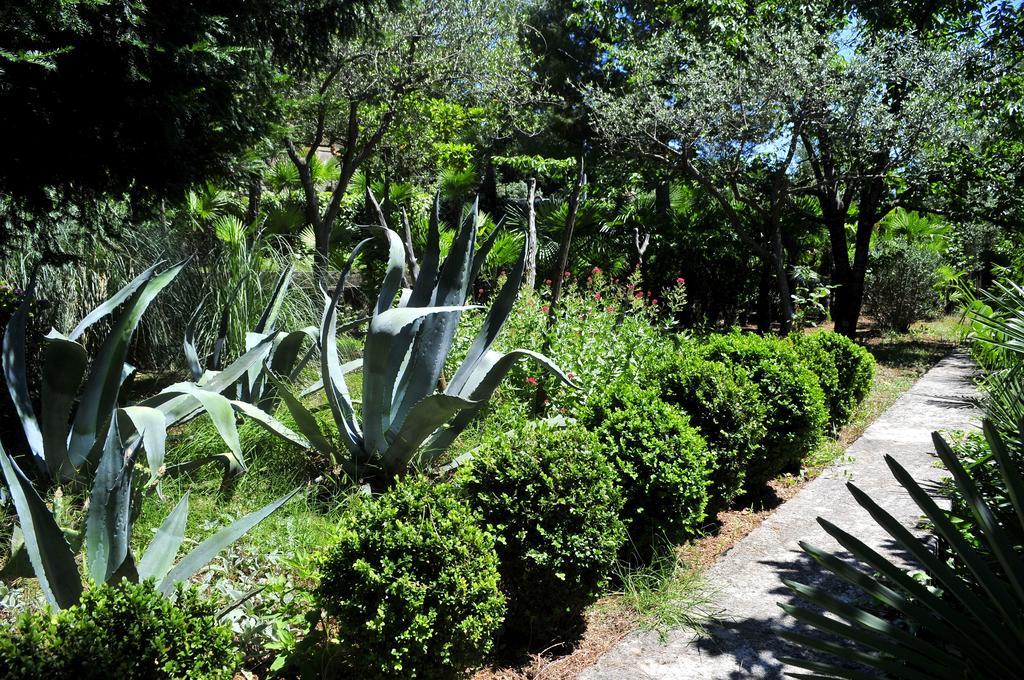 רייקה Apartment Magnolia מראה חיצוני תמונה